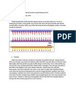 Sintesis Protein