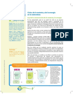 Ciclos de La Materia y La Energía