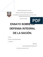 Ensayo Defensa Integral CARLOS MARQUEZ 037 - Copy