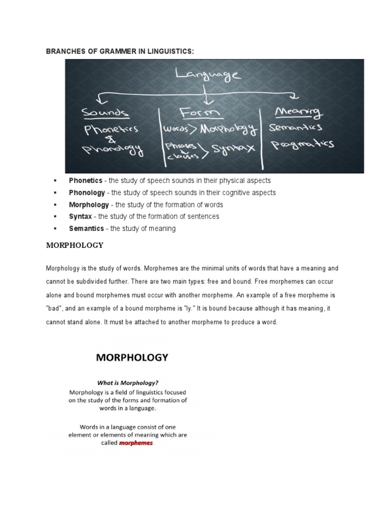 Overview of Linguistics Branches | PDF