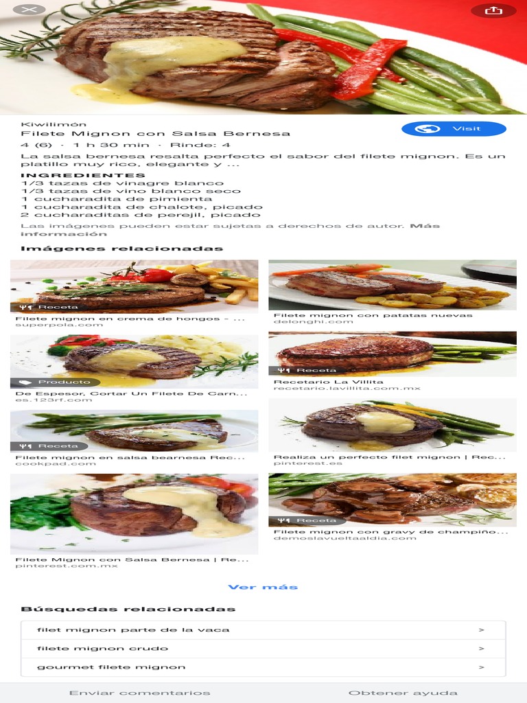 Filet Mignon: Corte y Recetas Gourmet | PDF | filete | Carne