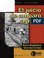 Amparo Agrario (2a._ed.) 1