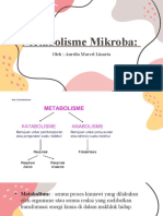 Metabolisme Mikroba - Aurelia Marcel Linarta - 204840103