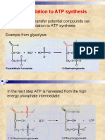 Coupling Oxidation To ATP Synthesis