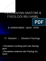 Perubahan Anatomi & Fisiologi Ibu Hamil