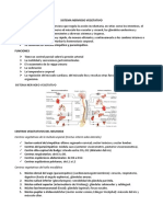 Sistema nervioso vegetativo: funciones y centros de control