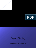 Organcloningproject 110324145940 Phpapp02