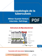 Fisiopatología de La Tuberculosis: Wilmer Guzmán Ventura Internista - Nefrólogo