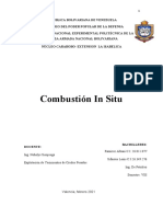 COMBUSTION IN SITU