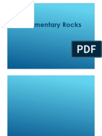 Sedimentary Rocks