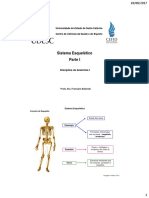 2 - Sistema Esquelético - Parte Teórica