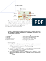 Test Ss Endocrin