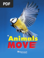 Animals Move