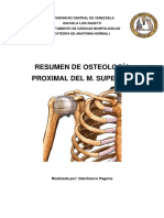 Osteología Proximal M. Superior I