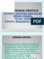Aciduria Orotica