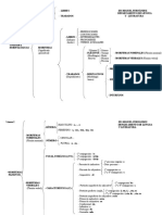 Esquema Unidades Morfológicas