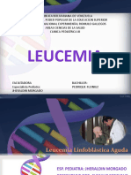 Leucemia Fleiniuz