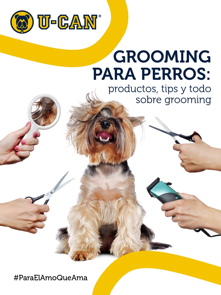 Aseo para Perros | PDF | Bienestar | Medicina