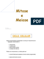 Mitose e Meiose