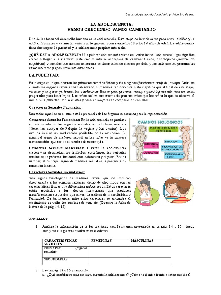 Cambios en la Adolescencia y Pubertad | PDF | Testículo | Adolescencia