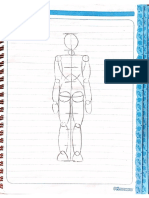 Proporciones Del Humano