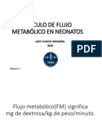 Flujo Metabólico - 2