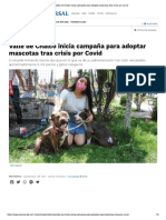 Campaña para Adoptar Mascotas Tras Crisis Por Covid