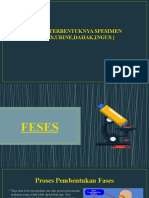 Proses Terbentuknya Spesimen Urine, Feses Dahak