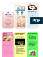 Leaflet Diit CKD