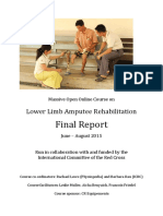 Final Report: Lower Limb Amputee Rehabilitation