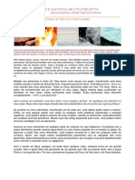 5 Elements Portugues-convertido.pdf