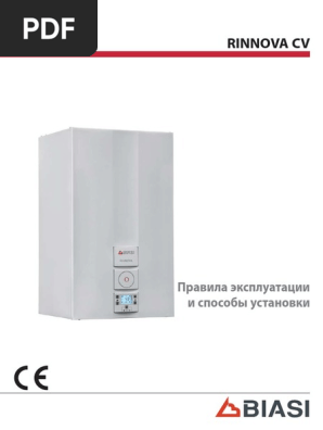 RinNova Manual CV | PDF