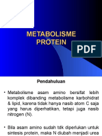 Metabolisme Protein