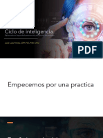 ciclo de inteligencia