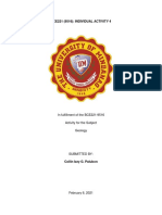 Bce221 (9516) : Individual Activity 4: in Fulfillment of The BCE221-9516 Activity For The Subject Geology