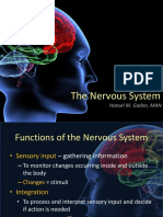 Nervous+System