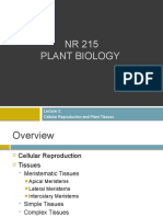 Lecture 3  - Cellular Reproduction and Plant Tissues