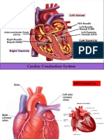 1.4-Mengambil & Interpretasi ECG