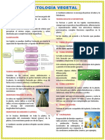 Histología Vegetal