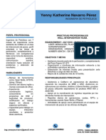 Perfil Ingeniera Petróleos Yenny Navarro