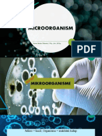 Microorganism