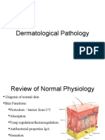 Dermatology Class Notes Deck