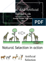 Natural and Artificial Selection: Huseyn, Narmin, Tofig, Fuad, Idris