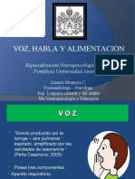 Voz y Habla-2019