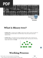 Binary Tree Tahsin