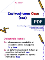 Instructiuni Case