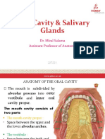 Oral Cavity Salivary Glands