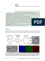 EMBRYOGENESIS Trophectoderm Development Alarcon and Marikawa 2018