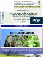 X SEMANA 10 - Estudio Toxicologico de Cocaina 2019-I