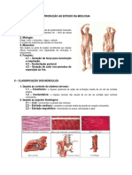 5 Sistema Muscular